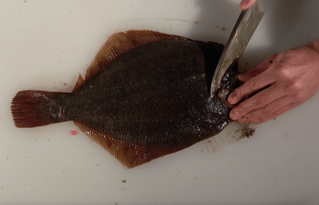 カレイの頭を切り落としている様子