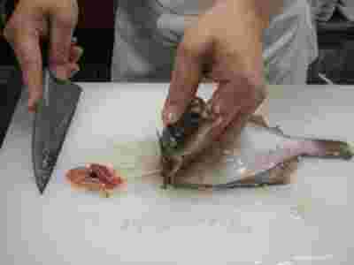 カレイの内臓を取り出している様子