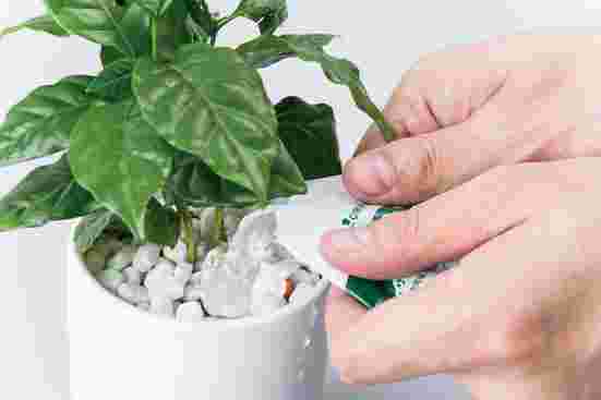 植木鉢に保冷剤の中身を入れている様子