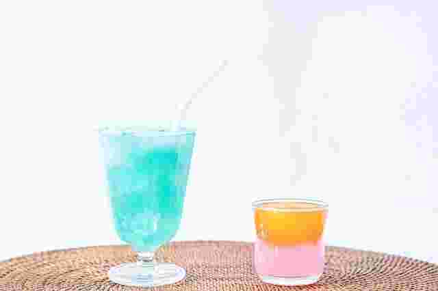 可愛く盛り付けられた保冷剤の中身