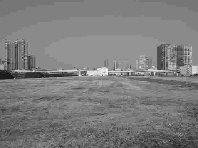 空き地