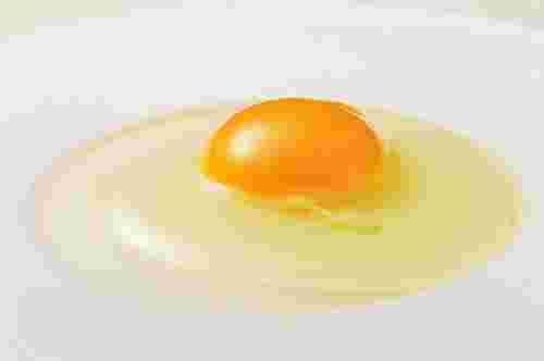 生卵の画像