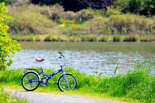 川岸に止まっている自転車