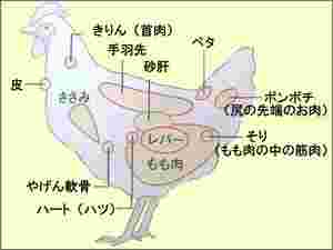 鶏の部位の説明