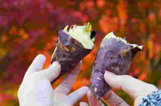 旬のさつまいもを焼き芋にして食べる様子