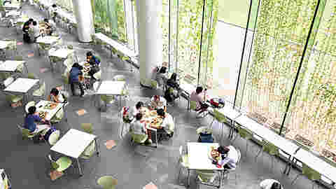 栄養バランスが取れる東洋大学の学食シエスタ