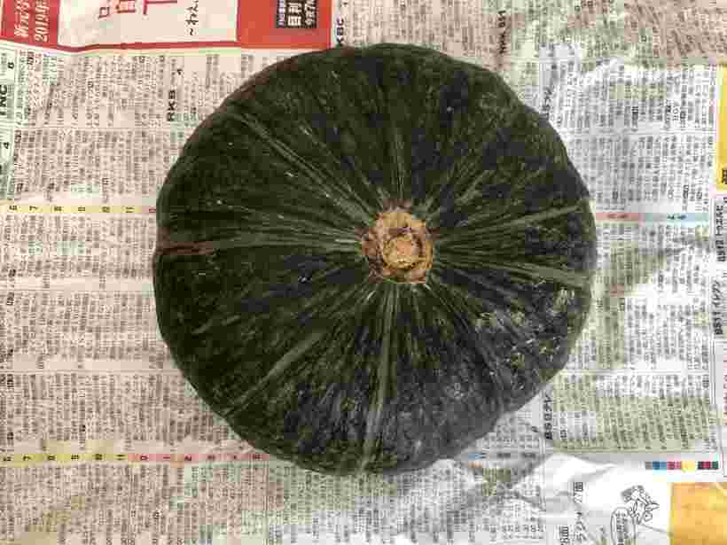 夏の時期に収穫したかぼちゃを新聞紙で包む