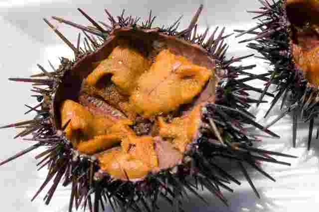 焼うに