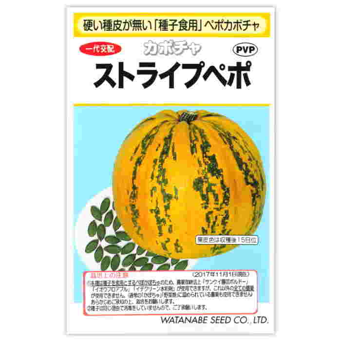ペポカボチャ（ストライプぺポ）の種