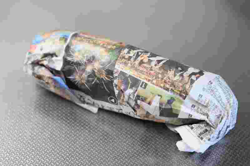 ゴーヤを新聞紙で常温保存する