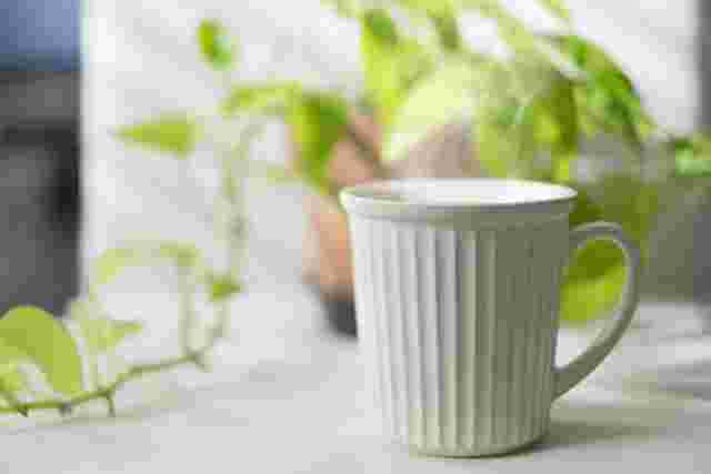 茶渋がつかないように使用後はすぐに洗った方が良いマグカップ