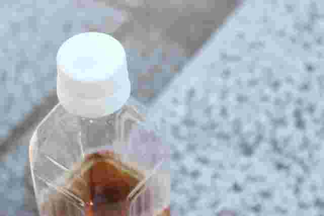 飲みかけのお茶を常温保存