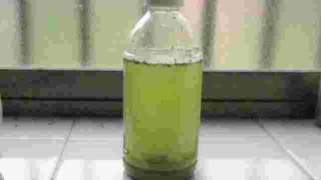 カビの生えたペットボトルのお茶