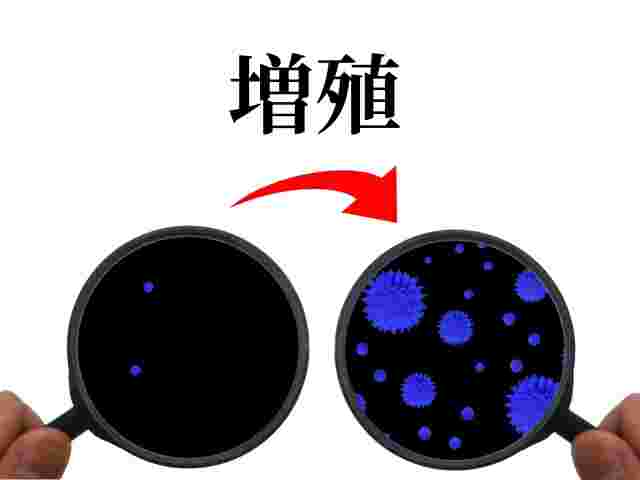 虫眼鏡に写った増殖した菌