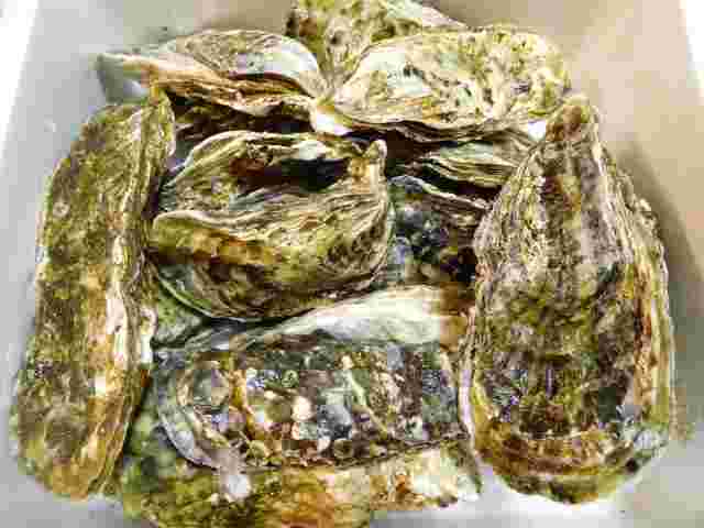 貝毒の可能性がある生牡蠣