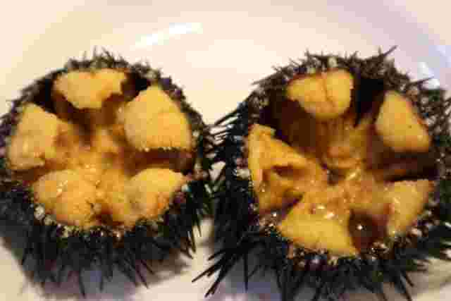 ウニに可食部である精巣と卵巣