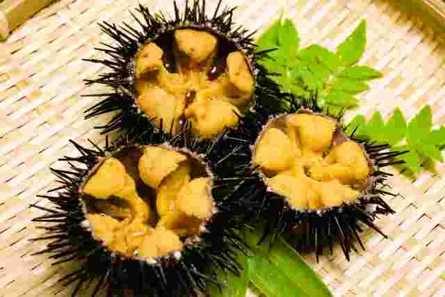 ウニの生殖巣である可食部