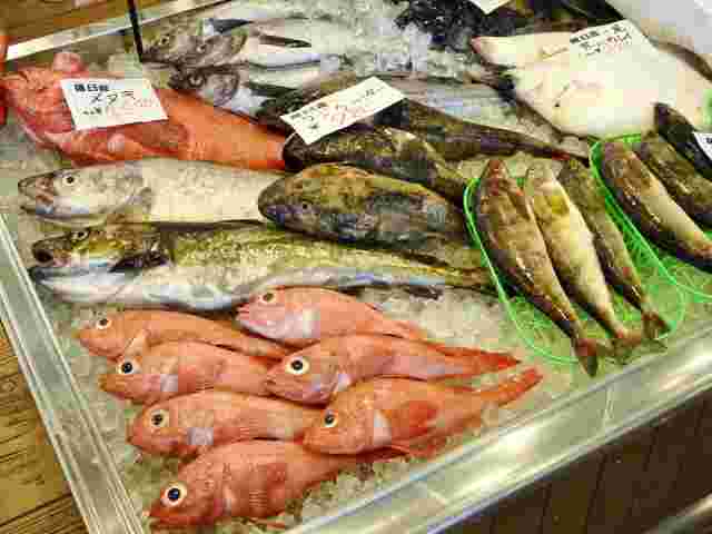 メヌキの別名を持つメヌケとその他の多くの魚