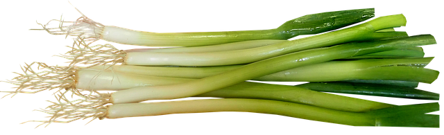 生で食べられる野菜のネギ