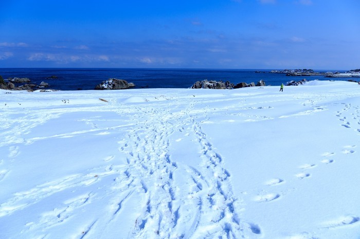 トラクションコントロールの方法・仕組み|バイク/雪道