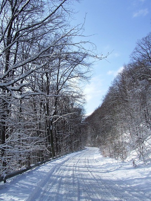 4WDの｜タイプ別・地域別・年別・燃費・タイヤ
