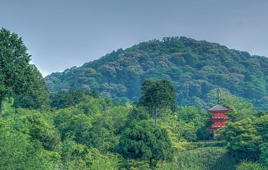清水寺周辺の安い駐車場料金比較|混雑時間と状況・無料はある?