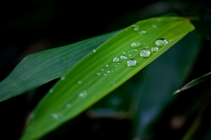 サイドミラーにおすすめの撥水剤・親水とどちらが良いか