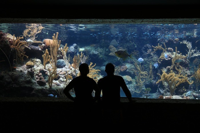 江ノ島水族館周辺の安い駐車場料金比較｜混雑時間と状況・無料はある？