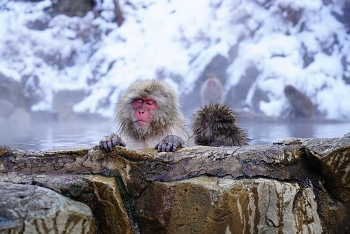 河口湖付近で日帰り温泉10とディユース施設4