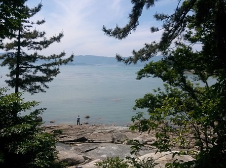 海の公園周辺の安い駐車場料金比較｜混雑時間と状況・無料はある？