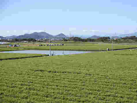 高知県