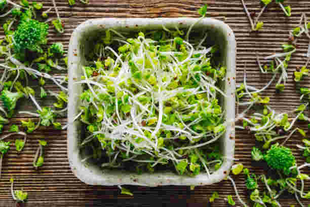 broccoli