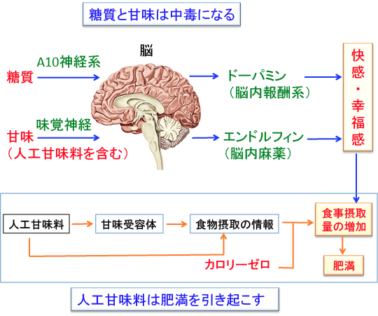 http://img15.shop-pro.jp/PA01158/159/product/38219178.jpg?20111225115216