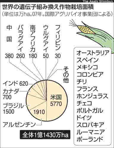 http://img15.shop-pro.jp/PA01158/159/product/38219178.jpg?20111225115216