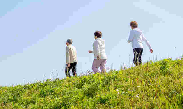 http://shisei-aruku.com/approval/img/index/recommend02_sp.jpg