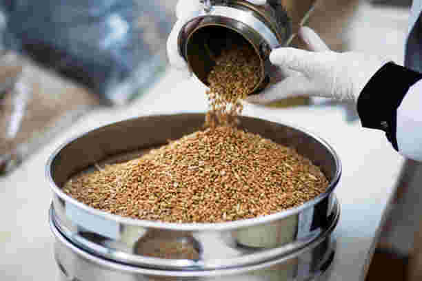 grain