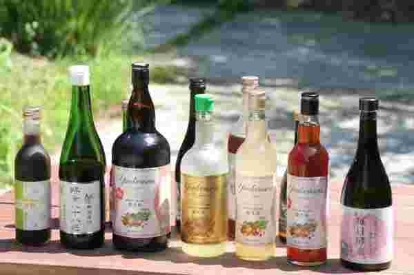 alt="酵素ドリンクの種類"