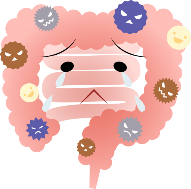 alt=“腸内環境イラスト”