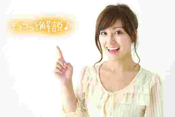 alt="解説"