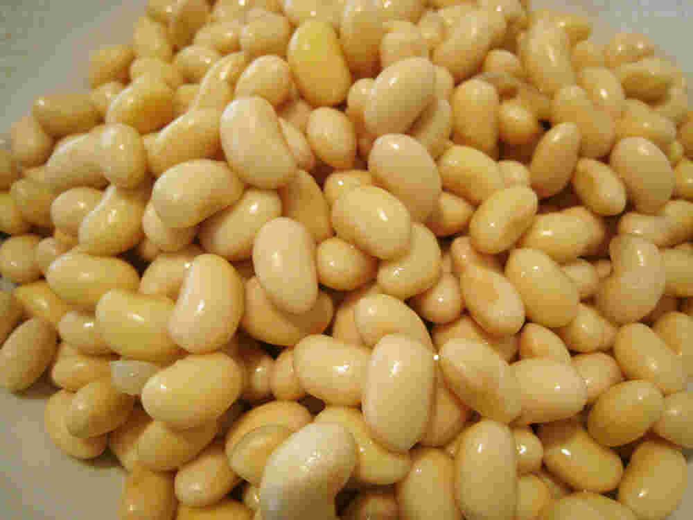 大豆