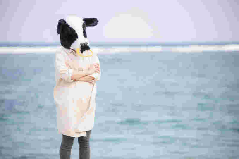悩む牛