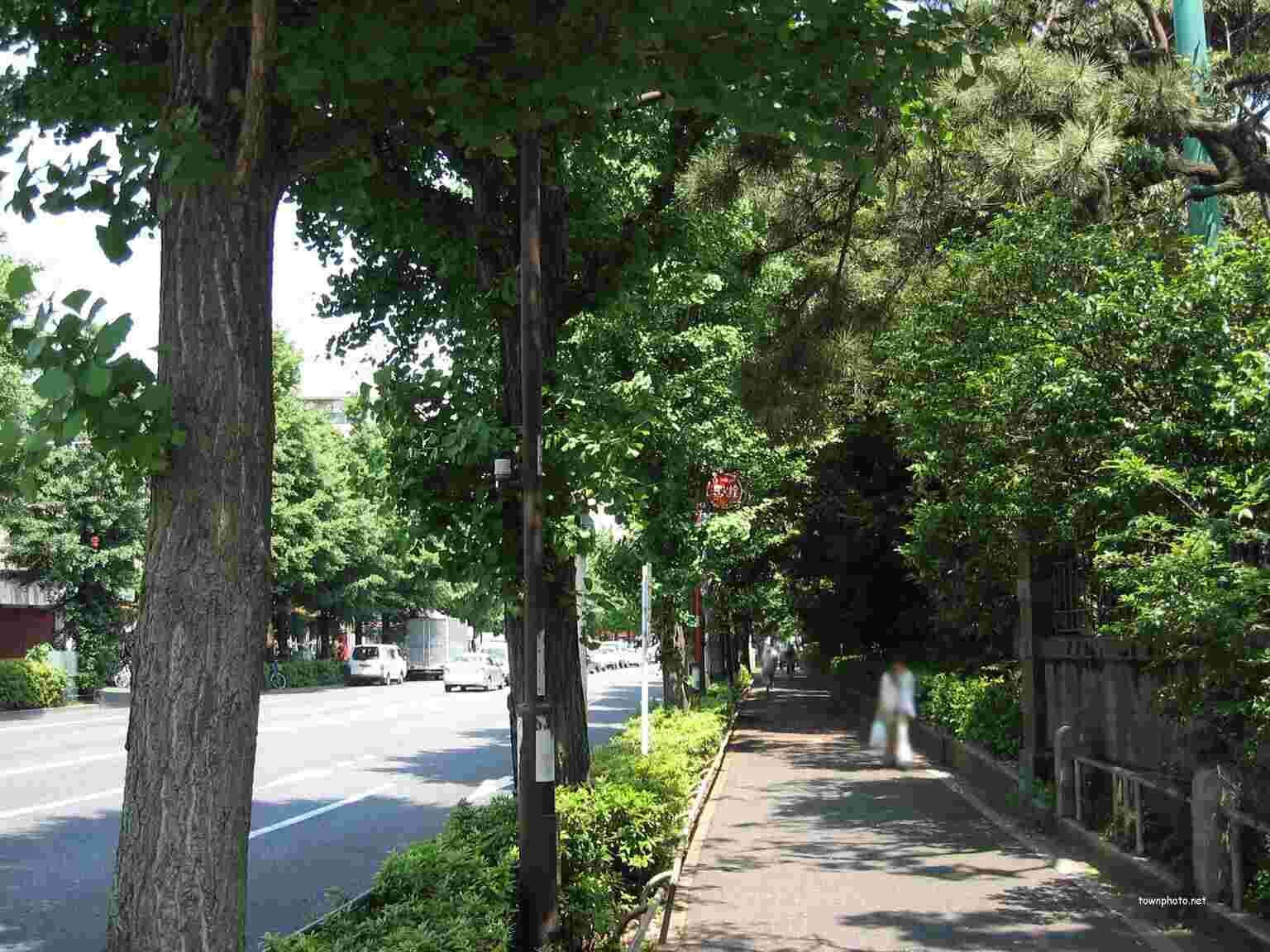 東高円寺
