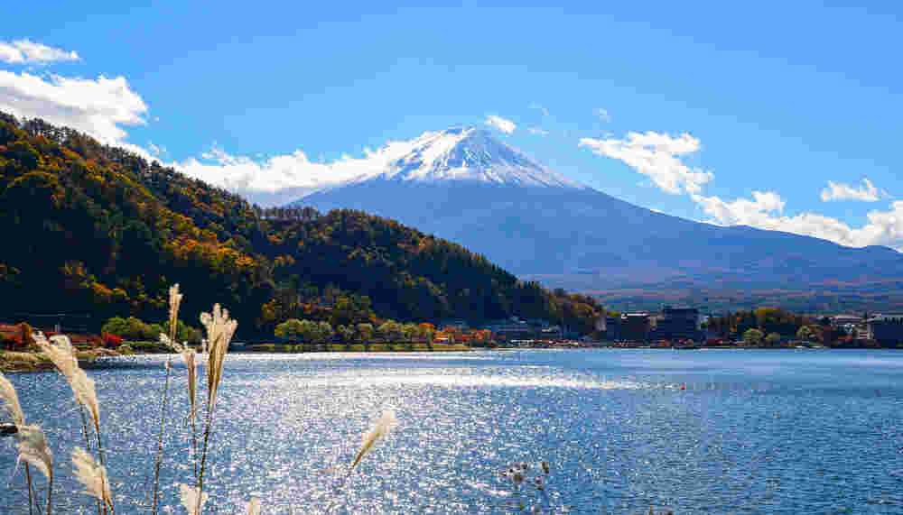 山梨県