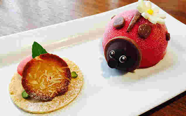 てんとう虫のアイスケーキコクシネル