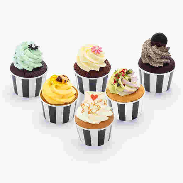 カップケーキボックス6