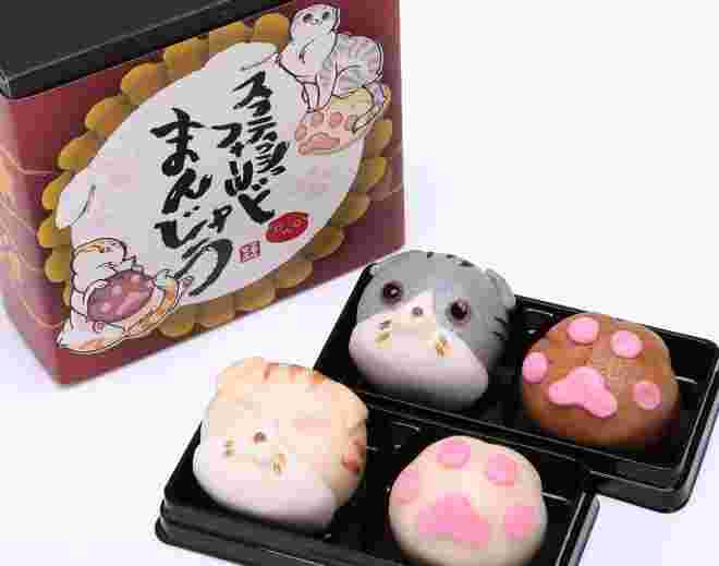 スコティッシュフォールド饅頭