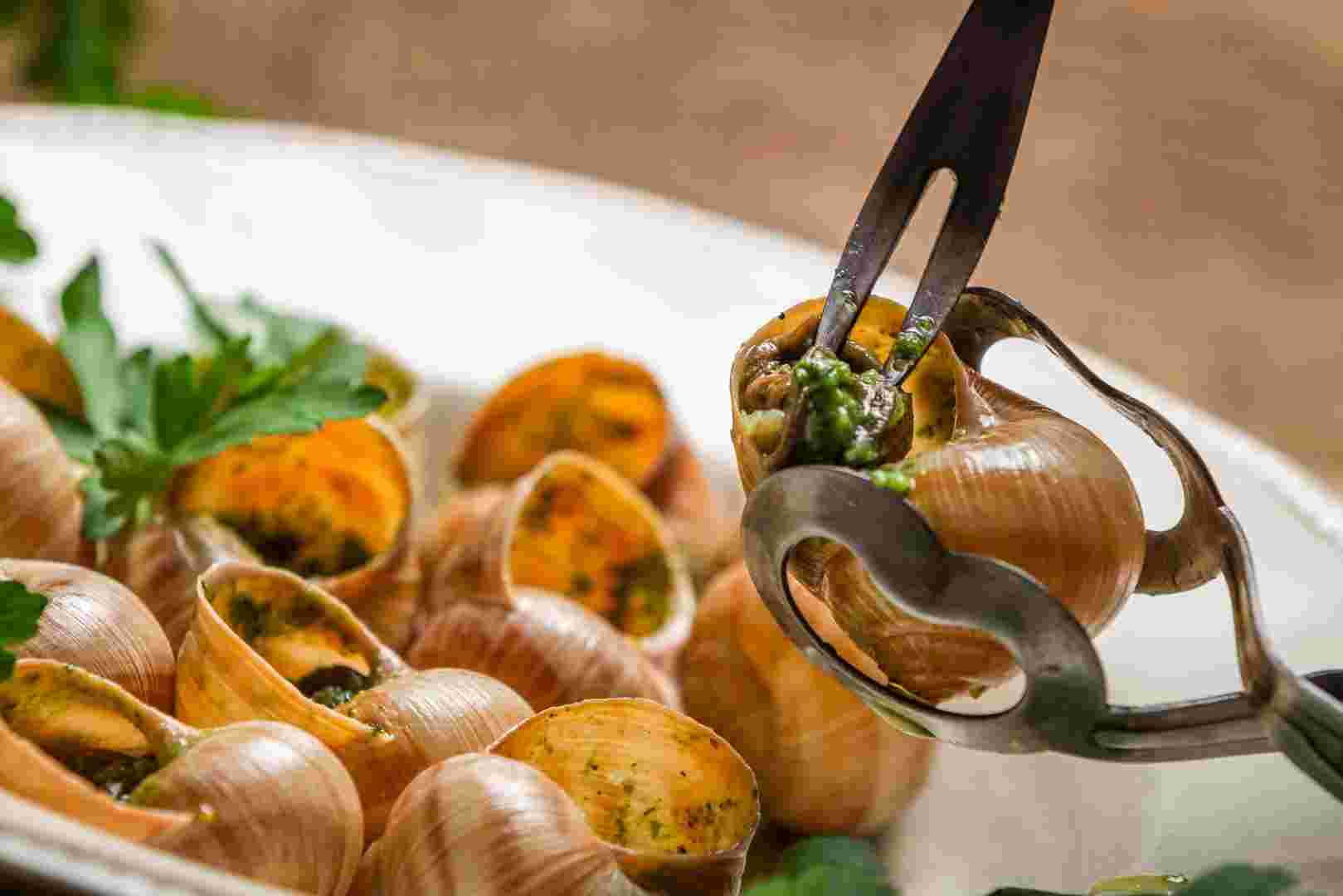 フランスの料理エスカルゴ