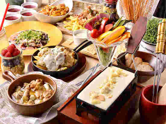 美味しそうな料理