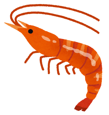 エビのイラスト