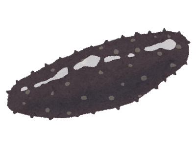 ナマコのイラスト